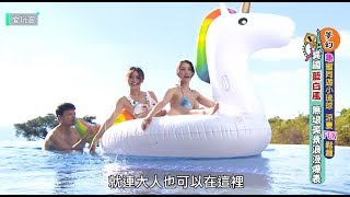 【小琉球】龜蜜同遊夏日小琉球？！小島極上海鮮丼！繽紛綜合 ...