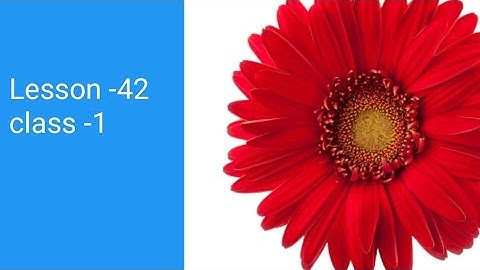 class 1English Lesson- 42 ssvm#class