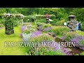 KARUIZAWA LAKE GARDEN 2021. Roses are in full bloom on a plateau in the rainy season.#軽井沢レイクガーデン #4K