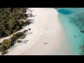 Maldives trip  snorkeling diving water villa sea plane sharks turtles  honeymoon destination