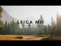 Yosemite valley with the leica m11
