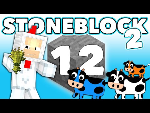 stoneblock-2-12-krizeni-krav