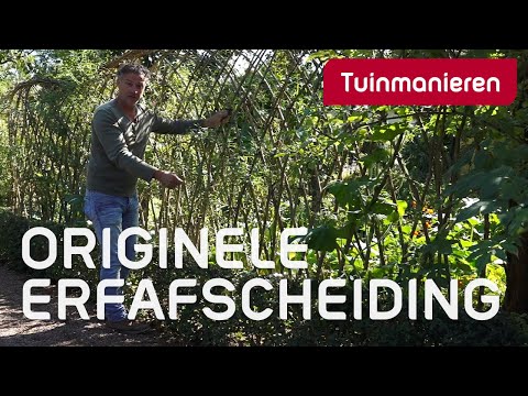 Video: Wat kan ik rond een wilg planten?