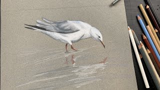 My very first live stream! And a simple drawing to test my set up!!