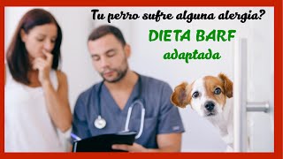 Transición a la dieta BARF para perros con alergias