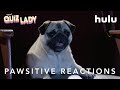 Quiz Lady | PAWsitive Reactions | Now Streaming On Hulu