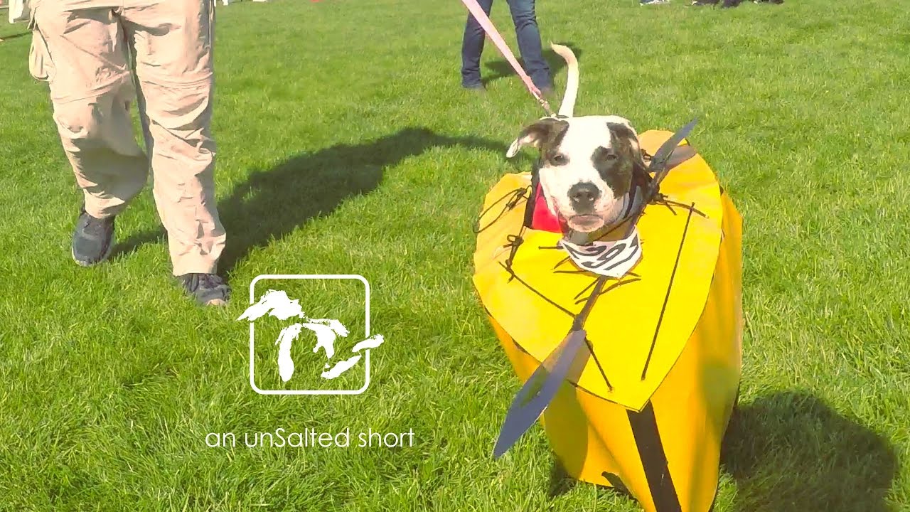Spooky Pooch Parade 2016.  Costumed Puppies in 4k!