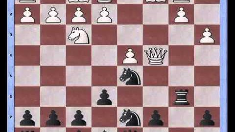 Bastiaan versus chessmaster 10th edition: improving the Marshall defence; sweet spots for rooks