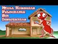 Mata Hormigas Fulminante Sin Insecticidas Todo Natural