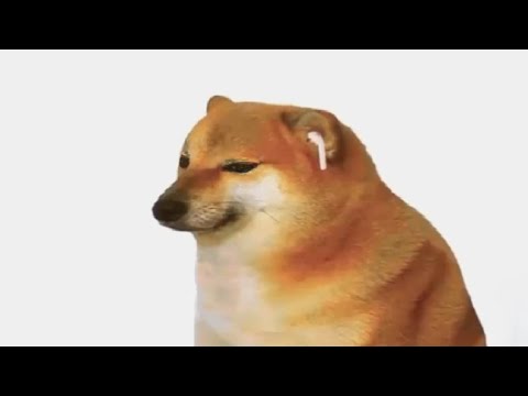 Cheems vibing