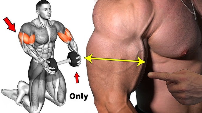 7 Muscle-Building Shoulder Exercises To Build Strong 3D Shoulders -  GymGuider.com  Exercices de musculation pour hommes, Exercice musculation  epaule, Fitness et musculation