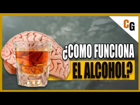 Video: ¿El alcohol etílico interactúa fácilmente con el agua?