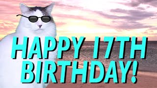 HAPPY 17th BIRTHDAY! - EPIC CAT Happy Birthday Song