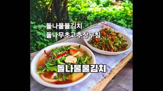 유산균이 폭발적인 아삭하고 상큼한 맛의 돌나물물김치와 돌나물초무침 (feat 쌀간장)