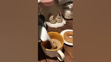 صباح الخير يا مكتئب قهوتي العشق الذي لاينتهي 