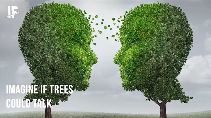Imagine If Trees Could Talk
