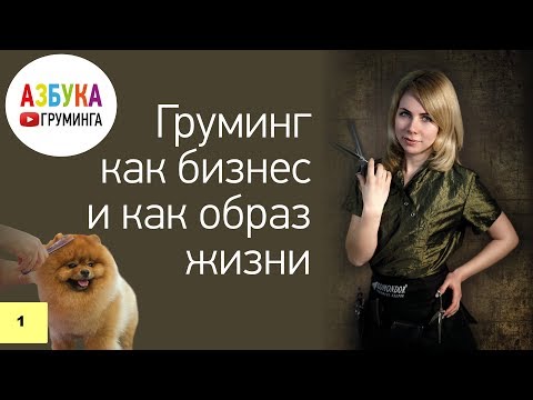 Как открыть салон для животных с нуля? Экскурсия по нашим собственным салонам.