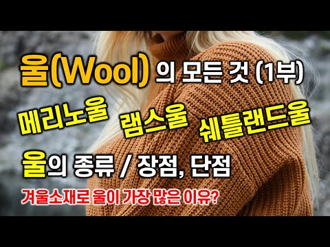 (패션섬유 기초지식) 울 (Wool)의 모든 것 / 울과 양모의 차이 / 울의 종류 / 울의 특징과 장단점 / 메리노울, 램스울, 쉐틀랜드울이란 / 겨울소재 , 겨울니트,모직코트