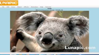 new lunapic.com video tutorial