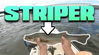 Quick Backup plan saved the day! Striper fishing, NC