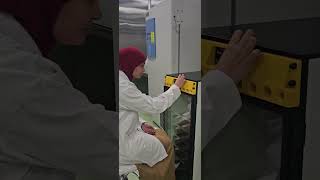 Ova Easy 🥚 Egg incubator
