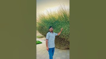 दुबईमाय First Vlog 😂 || My First Vlog Video 2024 || Ritesh Raahi Vlogs #kanaktech