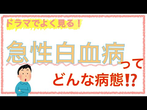 教科書をわかりやすく！「急性白血病の病態」