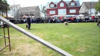 CA.SA.GA. Asociación de Cans de Salvamento de Galicia na Feira do Tres 2012