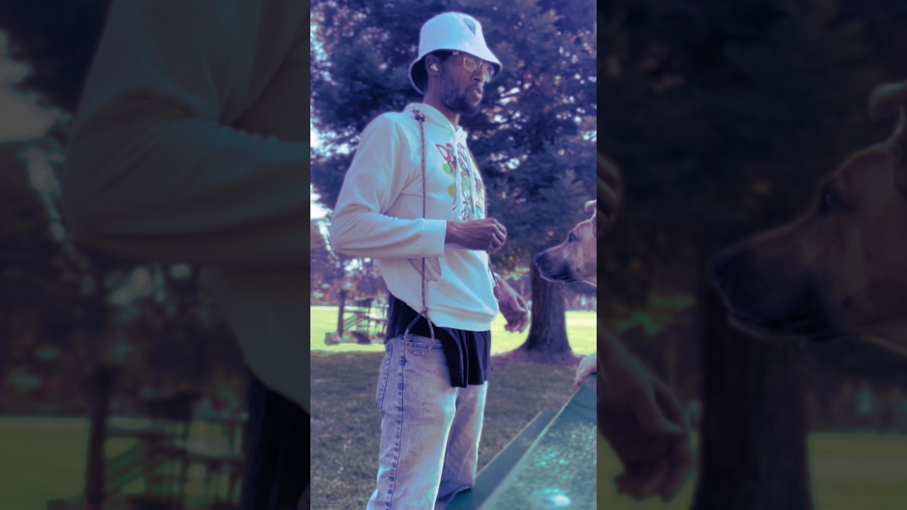 WE RECOMMEND THIS TO FIX YOUR DOGS RECALL 