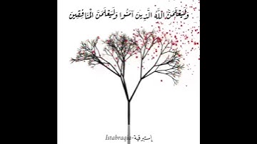أَوَلَيْسَ اللَّهُ بِأَعْلَمَ بِمَا فِي صُدُورِ الْعَالَمِينَ || تلاوة هادئة لعبد الرحمن مسعد 🦋