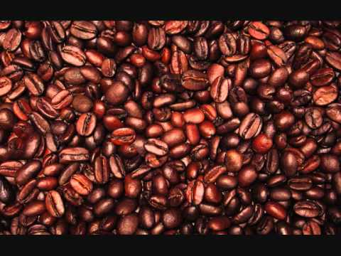 Aroma Scat Aroma Scat