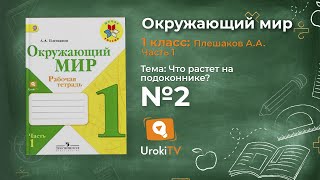 Задание 2 Что растёт на подоконнике? - Окружающий мир 1 класс (Плешаков А.А.) 1 часть Задание 2 Что растёт на подоконнике? - Окружающий мир 1 класс (Плешаков А.А.) 1 часть