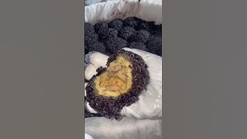 XÔI KHÚC LỨT món cho tín đồ ăn kiêng#food #streetfood #trendingshorts #viralshorts #foodshorts #cook