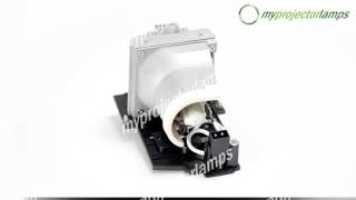 REPLACEMENT BULB FOR DELL 725-10323 BULB ONLY 400W 