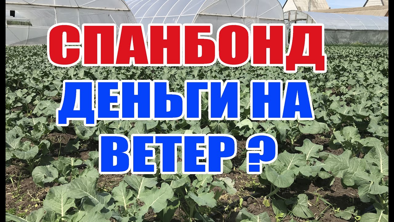 Как правильно закрепить спанбонд на двери теплицы из поликарбоната .