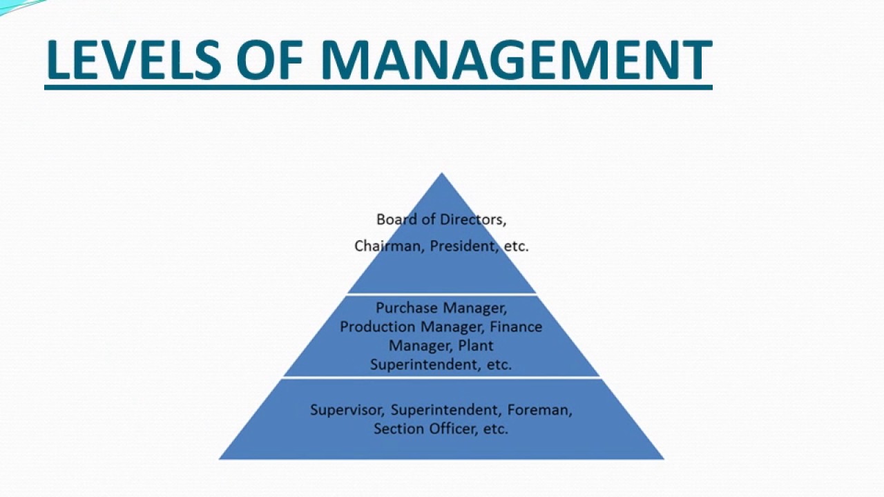 case study nature and significance of management