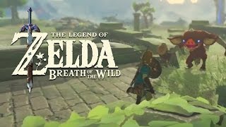 Official Combat Gameplay - The Legend of Zelda: Breath of the Wild