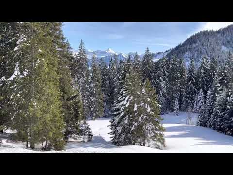 Neşe Karaböcek İnşallah Maşallah