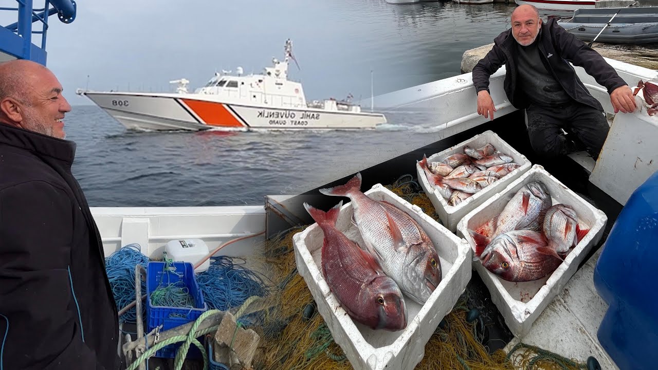 GÖÇ MERCANLARI GELMEYE BAŞLADI! | ZÜRAFA KAYALIKLARI KARIŞTI!