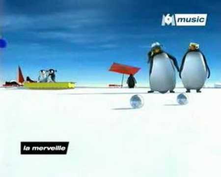 Le Ragga Des Pingouins Video
