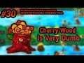 Cherry Wood But I'm Playing in The Wrong Way (Day 30 PaE)