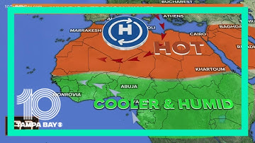 What is a tropical wave?