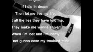 Noel Gallagher's High Flying Birds - AKA broken arrow lyrics