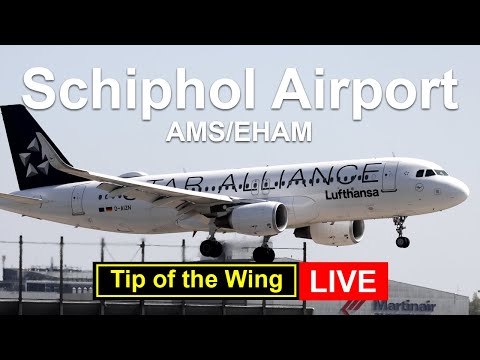 ๐ด Live; Amsterdam Schiphol Airport #16 - 14 juli 2025 (NL/ENG)