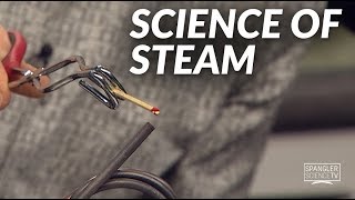 Science of Steam on 9NEWS