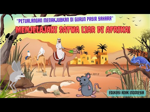 Video: Bagaimanakah tumbuhan menyesuaikan diri untuk hidup di Gurun Sahara?