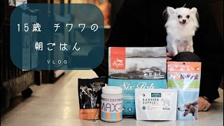 【チワワ 15歳】僕が与えてるご飯の内容 | vlog