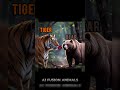 What Hybrid would win in a fight??😌… #aivideo #animalshorts #surreal #aifusion