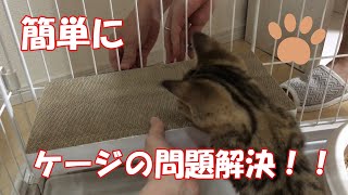 猫用のケージ大きいの買いすぎて困ってませんか？peppyの商品で解決しました！！【ジェネッタ・ラガマフィン】