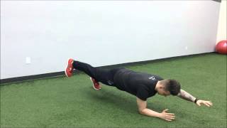 Alternating Hand and Leg Plank Reach Out